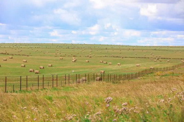 PG电子游戏·(中国)官方网站APP下载