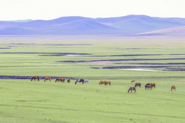 PG电子游戏·(中国)官方网站APP下载