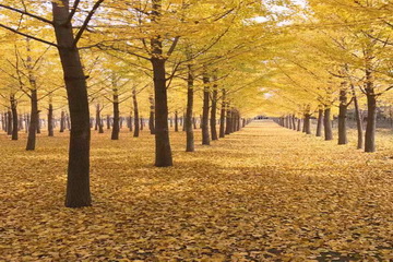 PG电子游戏·(中国)官方网站APP下载