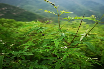 PG电子游戏·(中国)官方网站APP下载