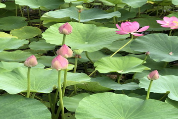 PG电子游戏·(中国)官方网站APP下载