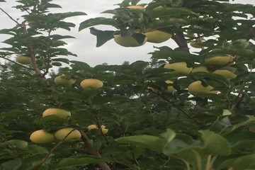 PG电子游戏·(中国)官方网站APP下载