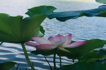 PG电子游戏·(中国)官方网站APP下载