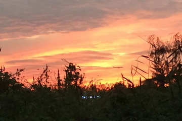 PG电子游戏·(中国)官方网站APP下载