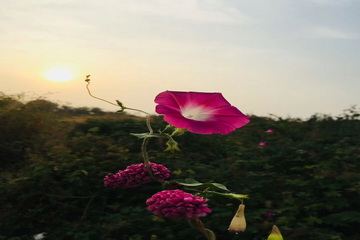 PG电子游戏·(中国)官方网站APP下载