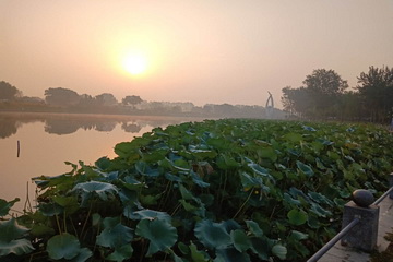 PG电子游戏·(中国)官方网站APP下载