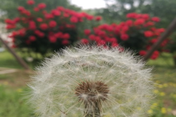 PG电子游戏·(中国)官方网站APP下载