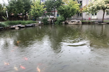 PG电子游戏·(中国)官方网站APP下载