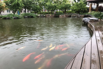 PG电子游戏·(中国)官方网站APP下载