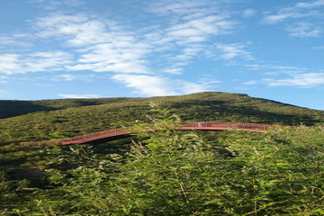 PG电子游戏·(中国)官方网站APP下载