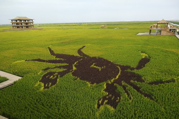 PG电子游戏·(中国)官方网站APP下载