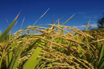 PG电子游戏·(中国)官方网站APP下载