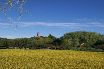 PG电子游戏·(中国)官方网站APP下载