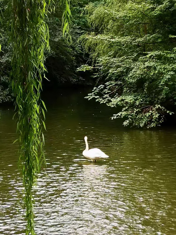 PG电子游戏·(中国)官方网站APP下载