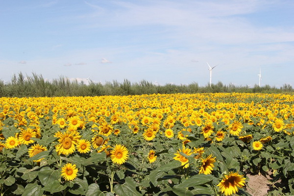 PG电子游戏·(中国)官方网站APP下载