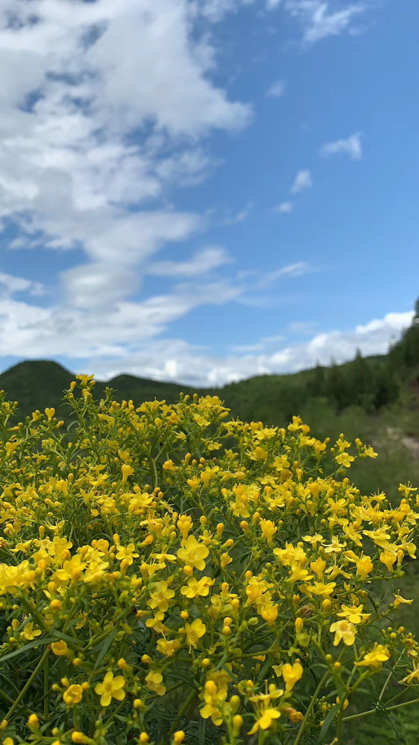 PG电子游戏·(中国)官方网站APP下载