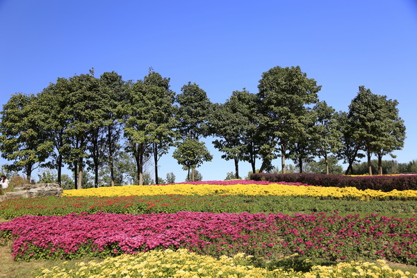 PG电子游戏·(中国)官方网站APP下载