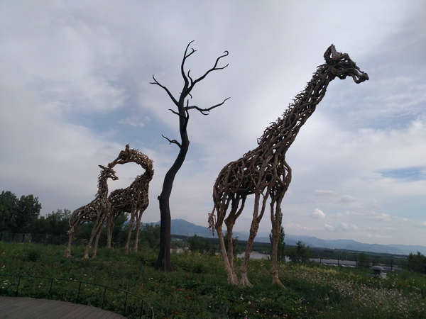 PG电子游戏·(中国)官方网站APP下载