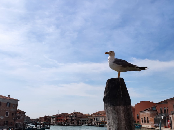 PG电子游戏·(中国)官方网站APP下载