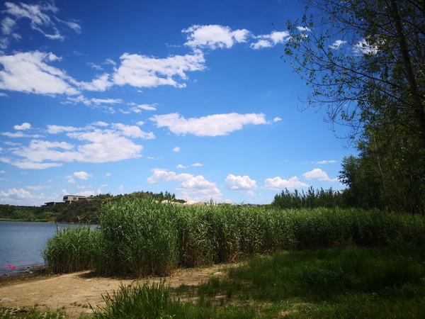 PG电子游戏·(中国)官方网站APP下载