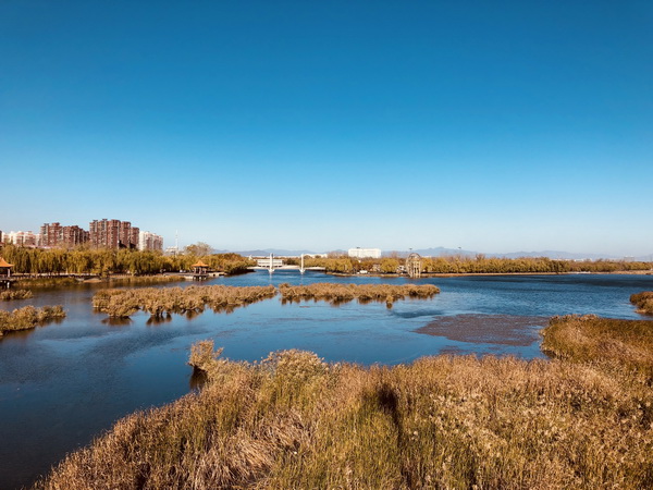 PG电子游戏·(中国)官方网站APP下载