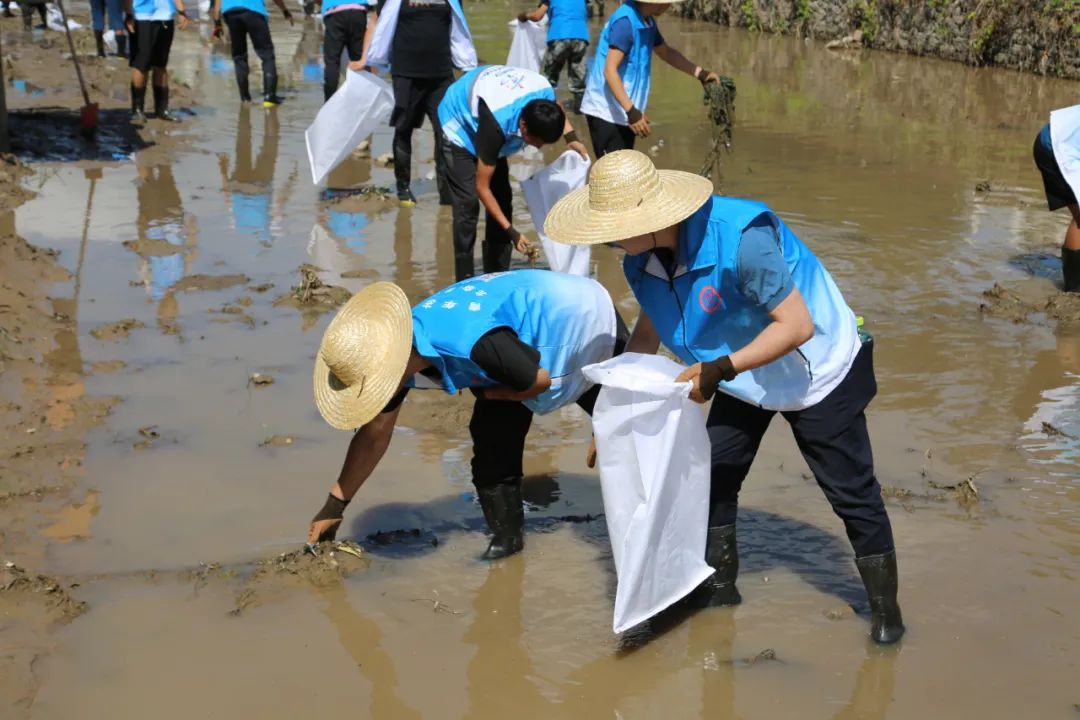 PG电子游戏·(中国)官方网站APP下载